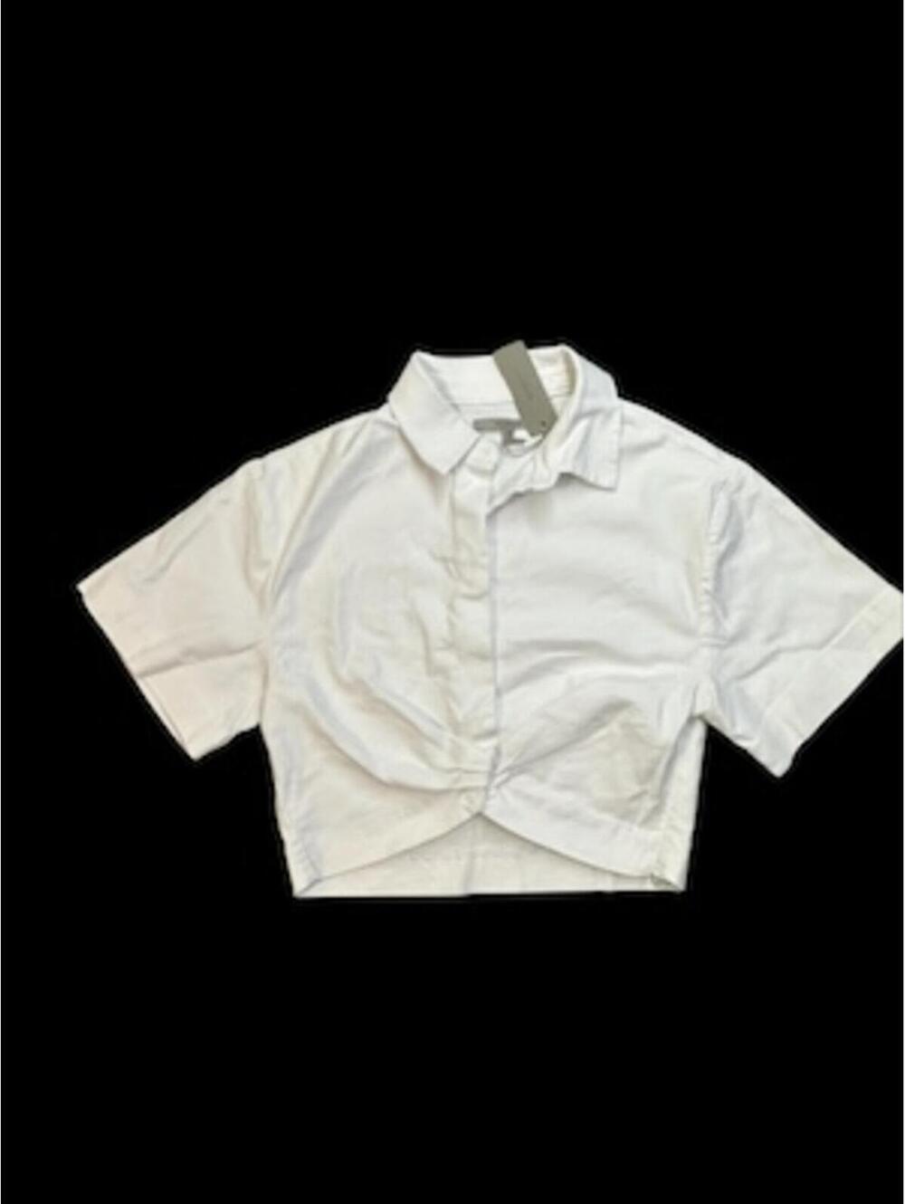 Hudson Crop Top